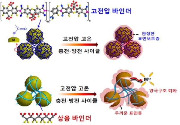 고전압 바인더를 적용해 양극의 계면과 구조 안정화 효과를 가져왔다. [사진=송승완, 정현민 교수 연구팀]