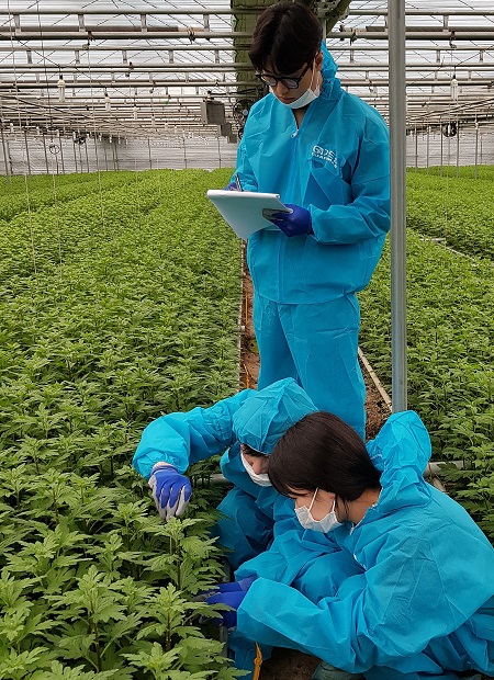 스마트팜 농가에서 발생하는 빅데이터를 통해 농가 경영 개선에 기여할 것으로 기대된다. [사진=경기도]