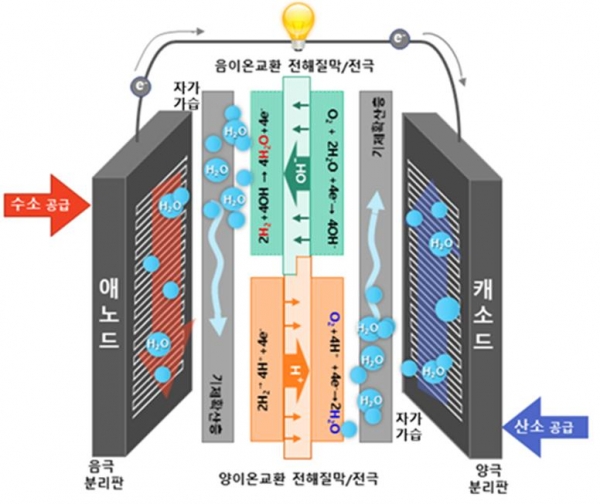 고분자전해질연료전지의 구성도 [그림=KIST]