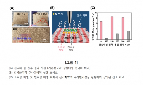 수전해 운전을 통한 수소생산이 빠르게 일어나기 위해서는 전극에서 촉매 층까지 물이 빠르게 도달해야 하며 이때 생성된 수소와 산소 또한 빨리 빠져나와야 한다. [자료=KIST]