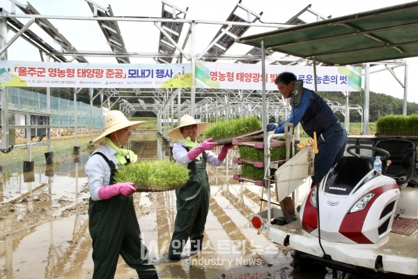 동서발전 김영문 사장(사진 가운데)이 한국에너지재단 주영남 사무총장(왼쪽에서 첫번째)과 모판을 옮기며 모내기작업 일손을 돕고 있다. [사진=한국동서발전]<br>