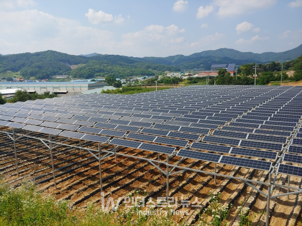 충북 괴산의 중흥 영농형 태양광 [사진=한국영농형태양광협회]