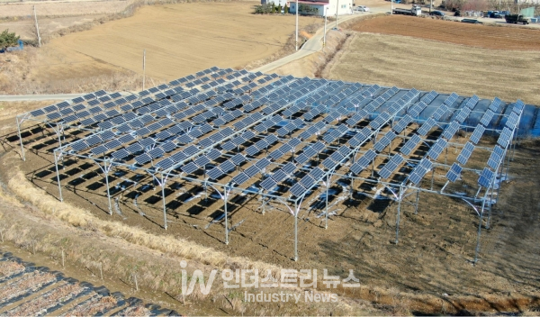 동서발전 재생에너지처 태양광사업부 공도완 차장은 “지금까지 실증한 영농형 태양광에서 농작물의 생산성과 농가 수익 향상이 연구과제로 증명된 만큼, 앞으로는 MW 단위로 대규모 사업을 통해 농촌경제 활성화에 기여할 계획”이라고 말했다. [사진=동서발전]