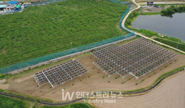 울주군 영농형 태양광 1호 100kW 전경 [사진=동서발전]