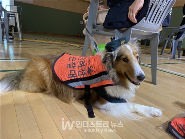 서울 반려견 순찰대 발대식에 참석 중인 반려견 [사진=서울시]