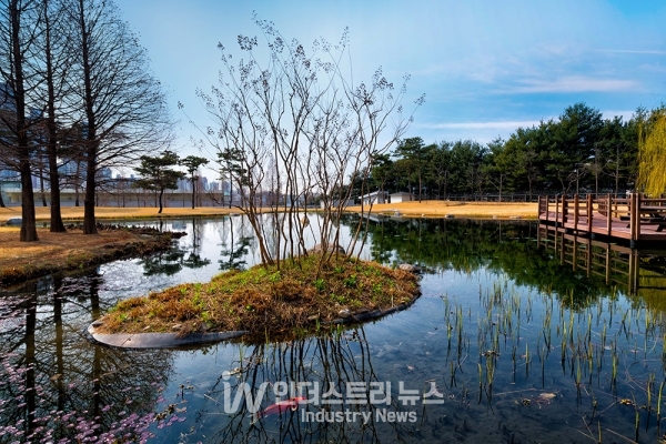 삼성전자 화성 사업장 ‘그린센터’를 통해 정화된 물로 조성한 연못 모습.