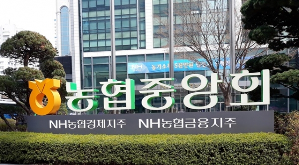 최근 5년간 농협중앙회에서 발생한 금융사고 금액이 1000억 원 넘었지만 회수한 금액은 전체 사고 금액의 17%인 188억 원에 불과한 것으로 나타났다. 사고예방 조치가 시급하다는 지적이 제기되고 있다 / 사진 = 연합뉴스