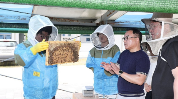 권재한 농진청장(왼쪽 첫번째)이 연구자들과 육종 양봉장에서 꿀벌을 살펴보고 있다 / 사진= 농촌진흥청